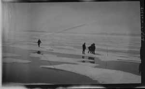 Image: Five sealers with long poles, on ice floes